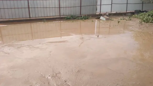 Мамаевдердин короо-жайы