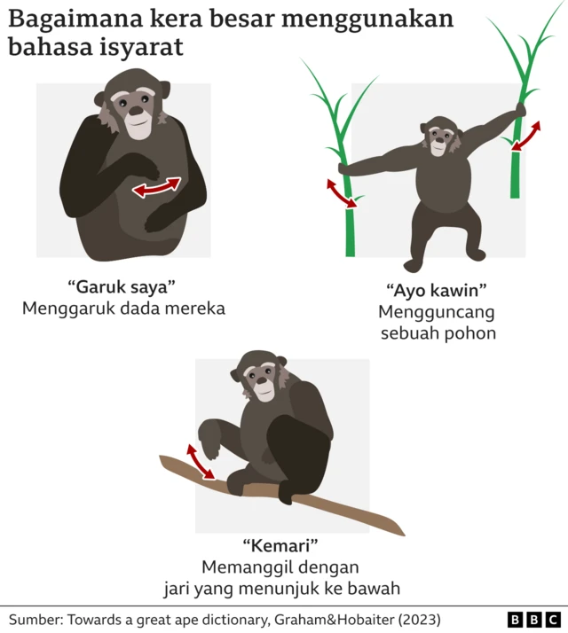 Grafik bahasa isyarat primata