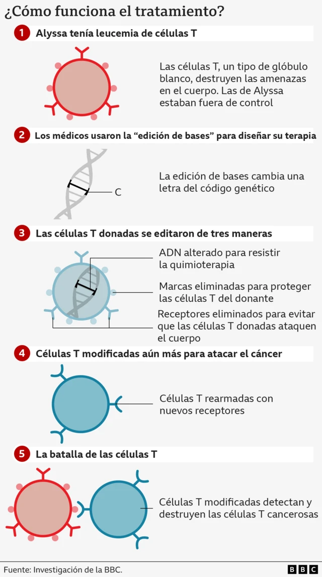 Gráfico que ilustra el tratamiento de células T modificadas para combatir el cáncer