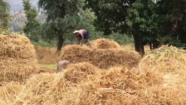 ખેતીમાં કામ કરતો ખેડૂત