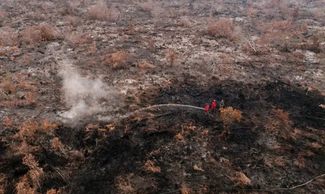 kebakaran hutan dan lahan di Tumbang Nusa, Pulang Pisau, Kalimantan Tengah, pada 13 Agustus 2026.
