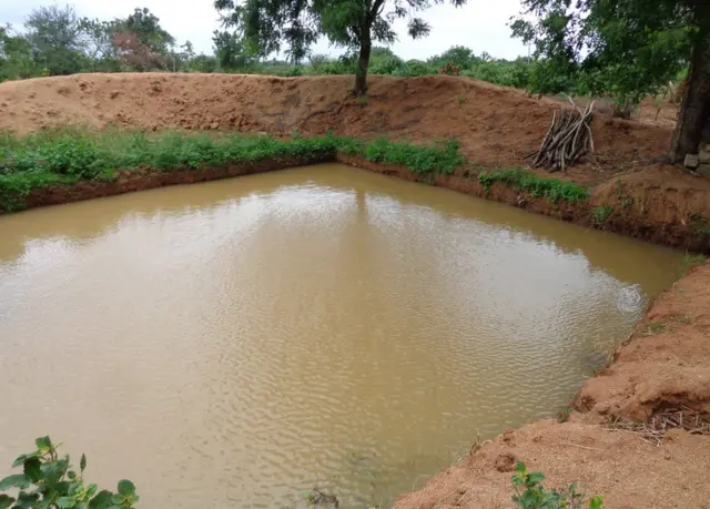 ఉమ్మడి మెదక్ జిల్లా శిలాజీనగర్లోని ఓ పంట కుంట