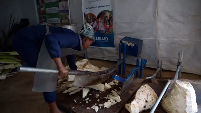 ሓንቲ ኢትዮጵያዊት ብመቝረጺ ገዚፍ ጎዞማ ገይራ እናቘራረጸት