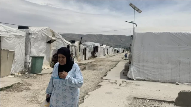 Porno animatsiya shafqatsiz Osiyo kokrak porno