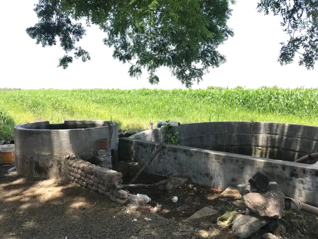 સિંચાઈ માટે ગંદું પાણી વાપરવાથી ઓછા ખર્ચે બમણું ઉત્પાદન મળી રહ્યું છે