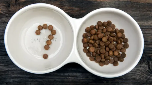 Промышленный корм для животных