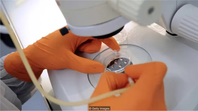 स्टेम सेल