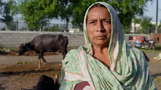 ਭਜਨੋ ਬਾਈ