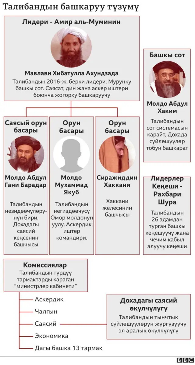 Талибандын түзүлүшү