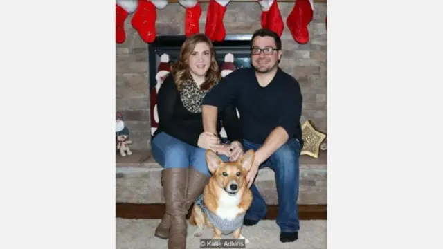 cuti, binatang peliharaan, anjing