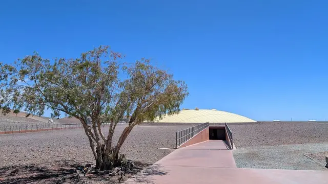 Un árbol en primer plano, con la cúpula de la residencia de científicos detrás.