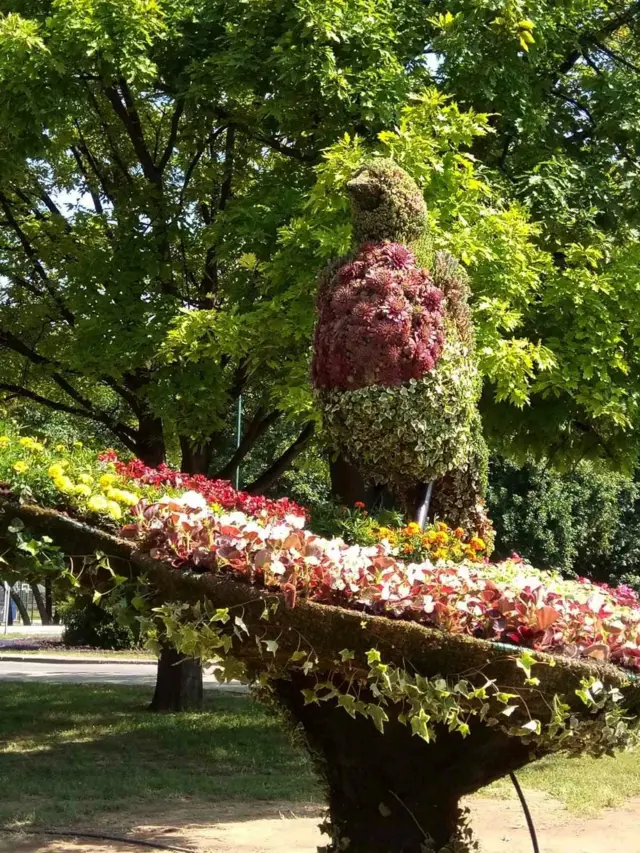 Skulptura od cveća na Adi Ciganliji u obliku vrapca