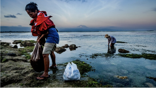 Mãe e filho catando ouriços-do-marroleta de greenum camporoleta de greenervas marinhas