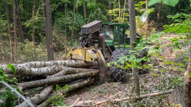 يقوم الحطّاب كال بيلاند بجمع جذوع الأشجار الصلبة باستخدام جرافة في 4 أغسطس/آب 2025 في مونكتون، فيرمونت.