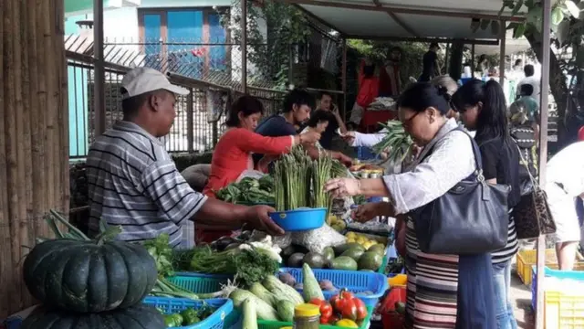 फाइल तस्बिर