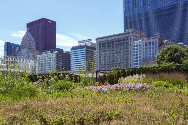 "Сады и парки"