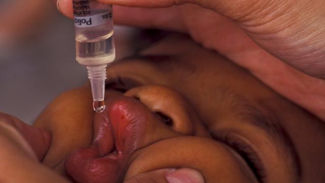 Vacina oral contra a poliomielite é usada nas dosesblaze apostas onlinereforço no Brasil