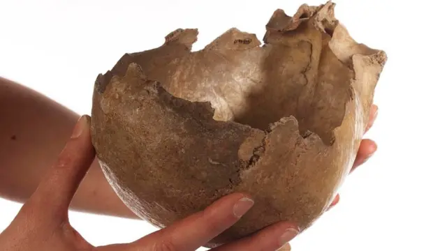 Una "taza" hecha de un cráneo