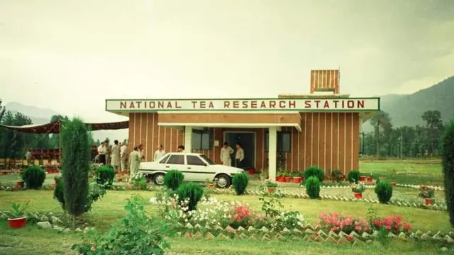 شنکیاری ٹی سٹیشن کی پرانی بلڈنگ کی تصویر