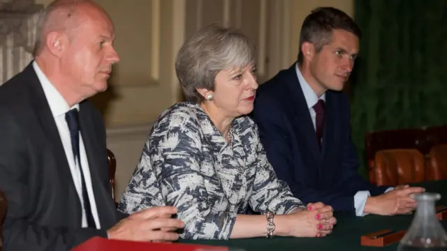 Гэвин Уильямсон и Тереза Мэй