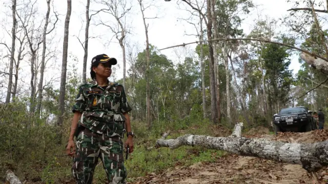 วีรยา โอชะกุล