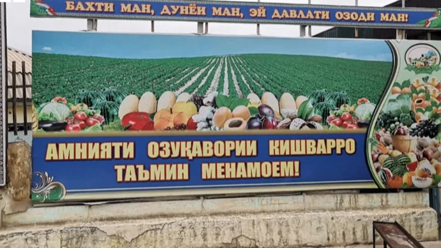 Ozbekiston Tojikiston qiz video 21