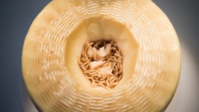 Waa nooc ka mid ah Farmaajada