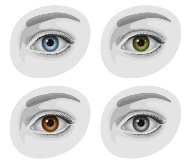 ilustração de olhos azuis, castanhos, verdes e acinzentados