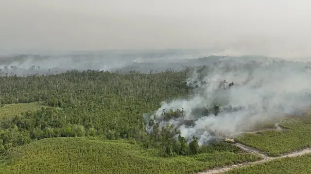 Kepulan asap dari kebakaran di lahan gambut Bulungan, Kalimantan Utara, Jumat (21/08).