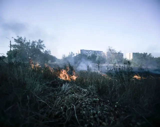 Полумʼя на полі перед багатоповерхівками. На передньому плані – густа трава та яблука, за ними – пожежа й дим