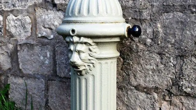 Una fuente de hierro verde con cabeza de león. Está adosada a un muro de piedra oscura.