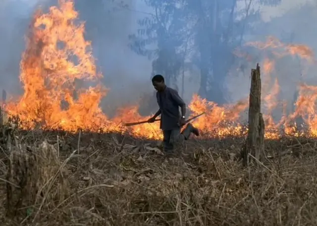 Un homme se bat contre un feu de brousse
