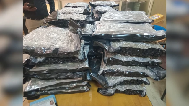 රේගු මත්ද්‍රව්‍ය පාලන අංශය විසින් අත්අඩංගුවට ගනු ලැබූ කුෂ් මත්ද්‍රව්‍ය තොගය 