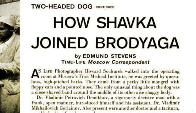 વિજ્ઞાન, અંગ પ્રત્યારોપણ, રશીયા, વૈજ્ઞાનિક