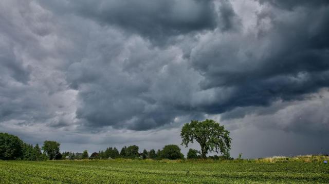 WEATHER