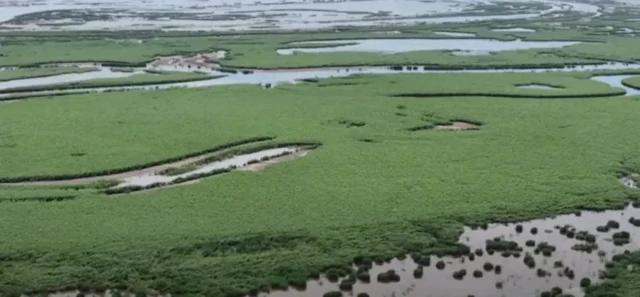 Участки с водой перемежаются с участками с растительностью. Вдали виден одноэтажный дом, стоящий посреди воды.