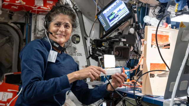 Saniitaa Wiiliyaams gara Dachee yoo imaltu