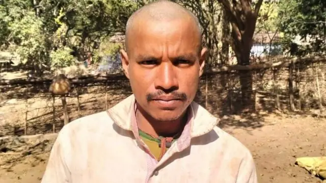 બીબીસી ગુજરાતી, ગુજરાત, બીબીસી, અમદાવાદ, ઝારખંડ, પ્રાણી, હાથી