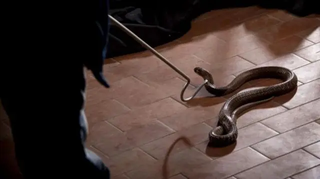 બીબીસી ગુજરાતી 