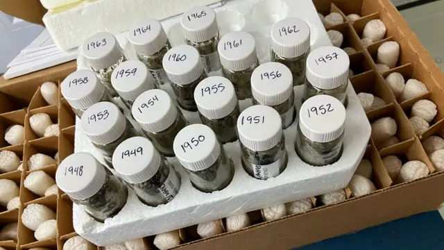 Пробирки, маркированные разными годами