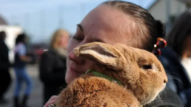 กระต่าย