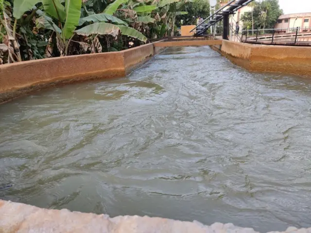 નદીઓ, તળાવો, કૂવાઓ અને બોરવેલ્સનું પાણી ઓઝોનાઇઝ્ડ હોય છે