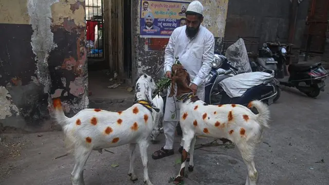 முஸ்லிம்கள் பக்ரீத் பண்டிகையன்று ஆடு, மாடு, ஒட்டகங்களை பலியிடுவது ஏன்?