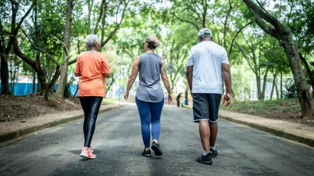 Três pessoas caminhandoapk f12 betárea arborizada