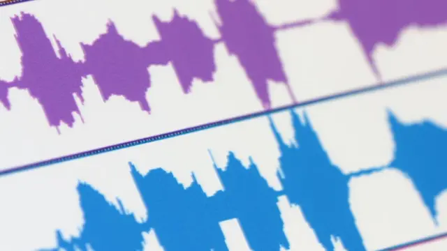 声紋認証は100項目にわたる声の特徴を利用するとHSBCは説明する