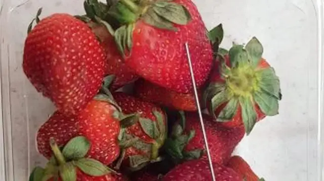 Why are needles being inserted into strawberries?