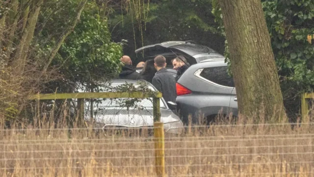 Автомобілі в кущах