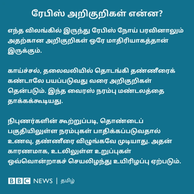 ரேபிஸ் அறிகுறிகள் என்ன? எந்த விலங்கில் இருந்து ரேபிஸ் நோய் பரவினாலும் அதற்கான அறிகுறிகள் ஒரே மாதிரியாகத்தான் இருக்கும். காய்ச்சல், தலைவலியில் தொடங்கி தண்ணீரைக் கண்டாலே பயப்படுவது வரை அறிகுறிகள் தென்படும். இந்த வைரஸ் நரம்பு மண்டலத்தை தாக்கக்கூடியது. நிபுணர்களின் கூற்றுப்படி, தொண்டைப் பகுதியிலுள்ள நரம்புகள் பாதிக்கப்படுவதால் உணவு, தண்ணீரை விழுங்கவே முடியாது. அதன் காரணமாக, உடலிலுள்ள உறுப்புகள் ஒவ்வொன்றாகச் செயலிழந்து உயிரிழப்பு ஏற்படும்.