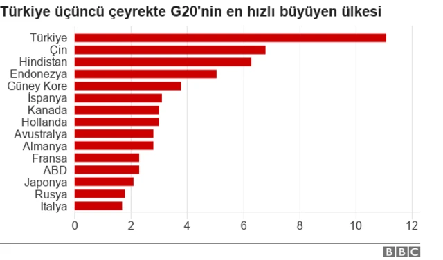 Büyüme performansı