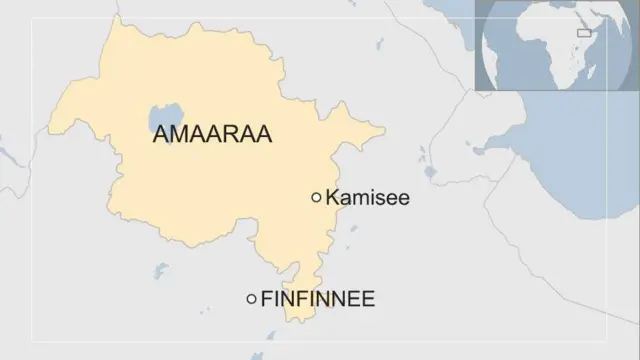 Danaa magaalaa guddoo Addaa Saba Oromoo, Kamisee